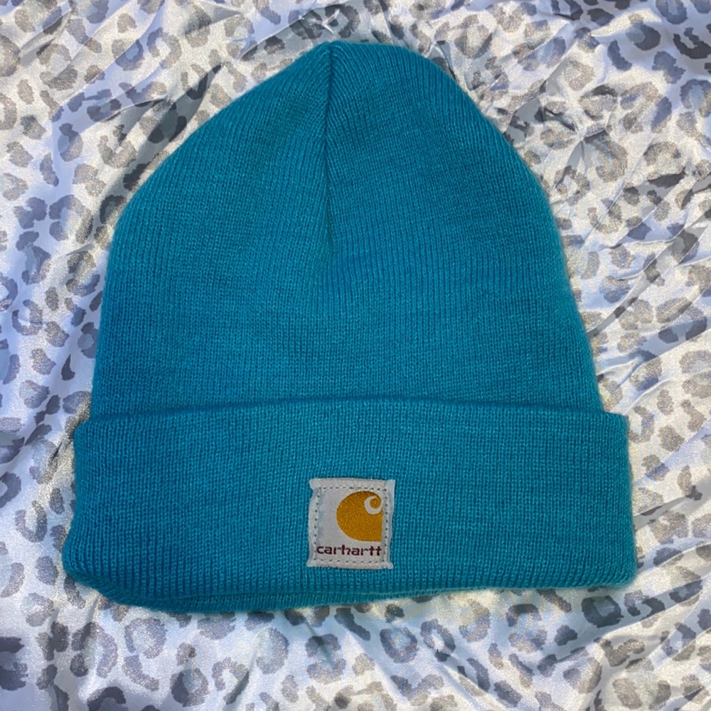 youth cathartt beanie